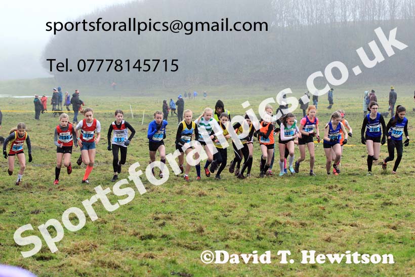 Girls under-13s 2022 North Eastern Harrier League, Thornley Farm, Peterlee, County Durham. Photo: David T. Hewitson/Sports for All Pics